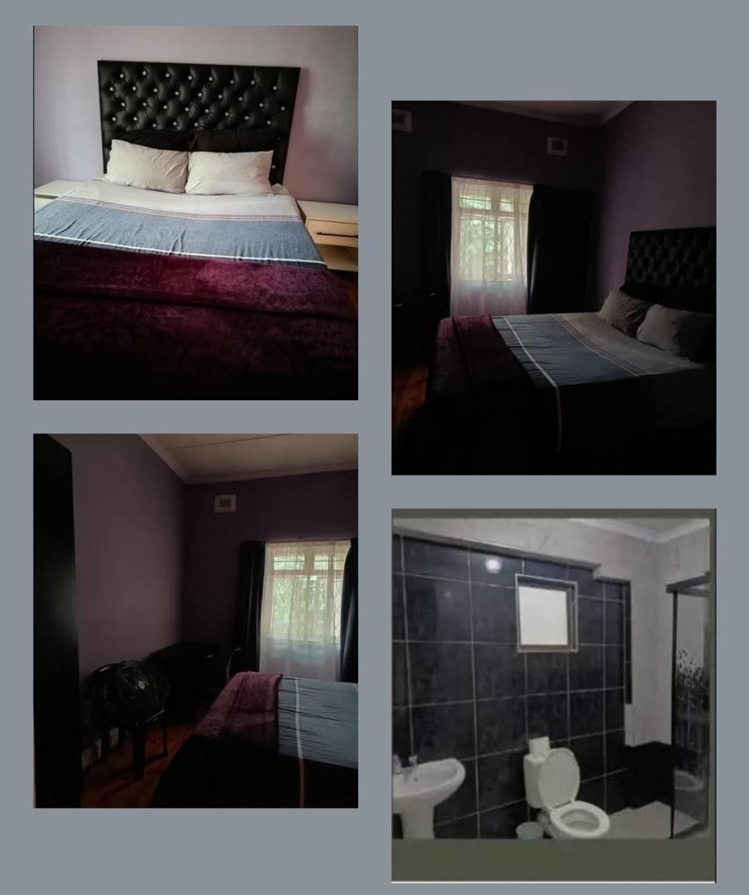 Pmb Backpackers Lodge Pietermaritzburg Bagian luar foto